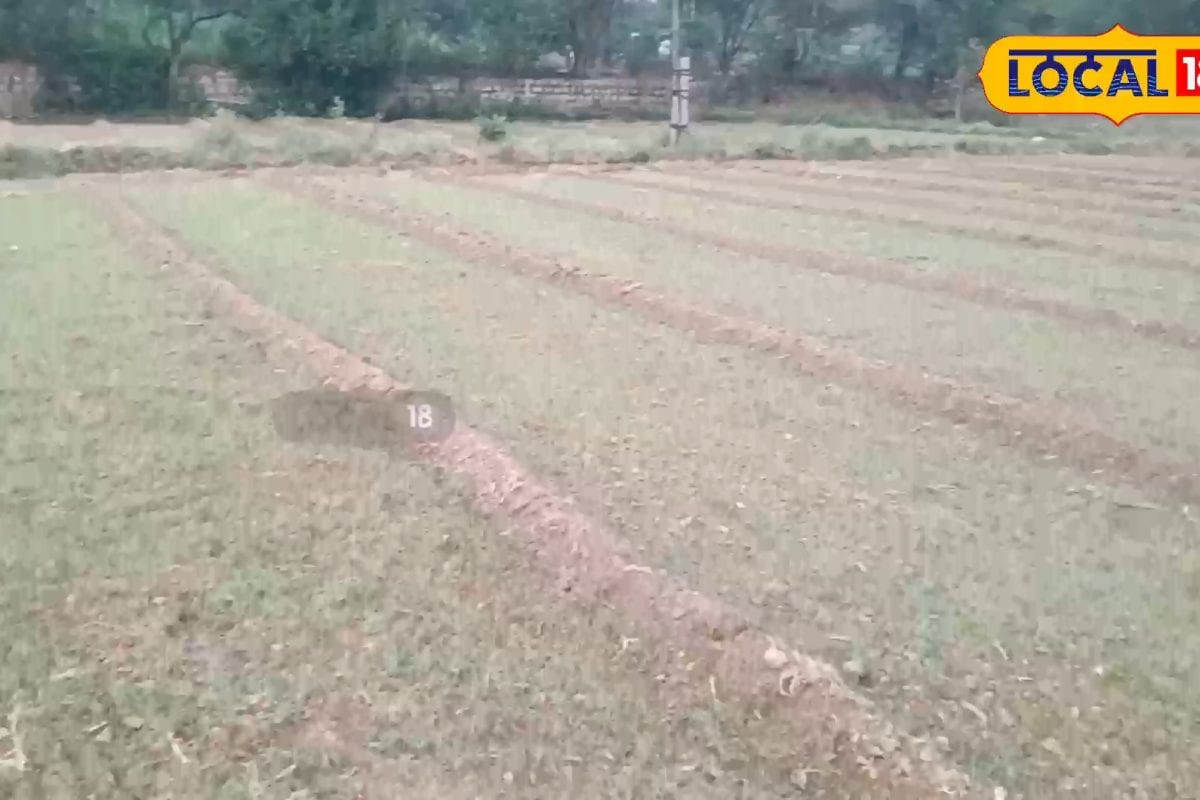 రియల్ ఎస్టేట్ వదిలి ఆకుకూరలతో సక్సెస్.. శాంతన్న దంపతుల సింపుల్ లైఫ్ స్టోరీ వైరల్..!